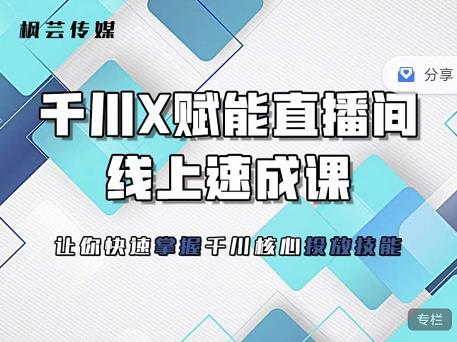 枫芸传媒-线上千川提升课，提升千川认知，提升千川投放效果